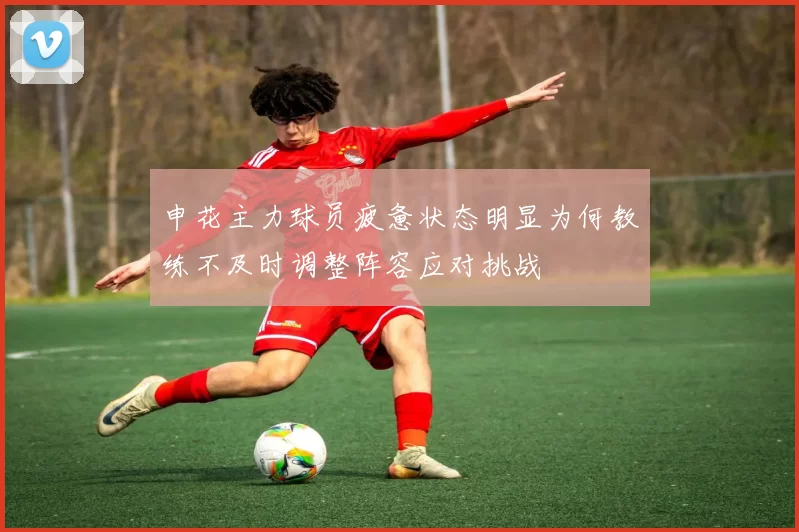 申花主力球员疲惫状态明显为何教练不及时调整阵容应对挑战