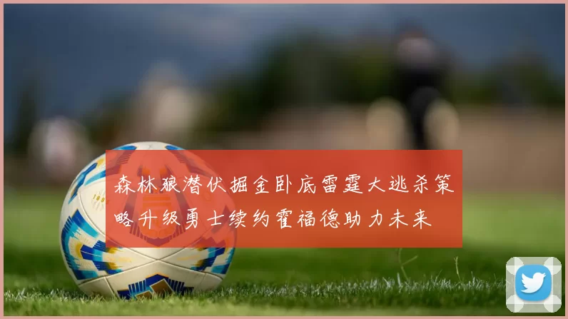 森林狼潜伏掘金卧底雷霆大逃杀策略升级勇士续约霍福德助力未来